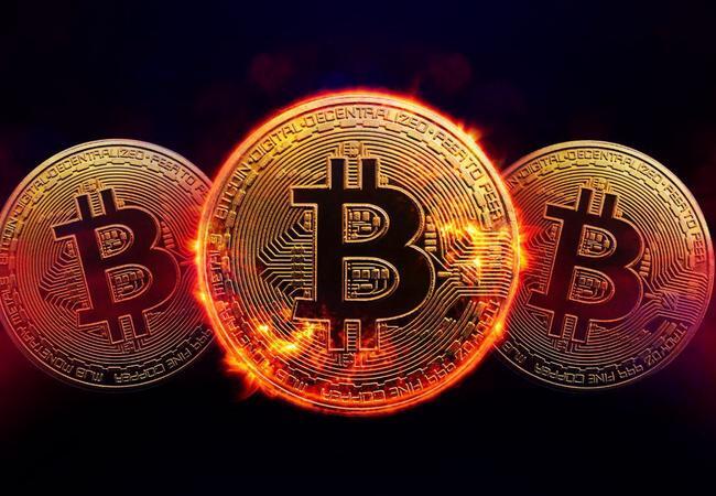 Bitcoin: saiba o que é e como funciona essa criptomoeda